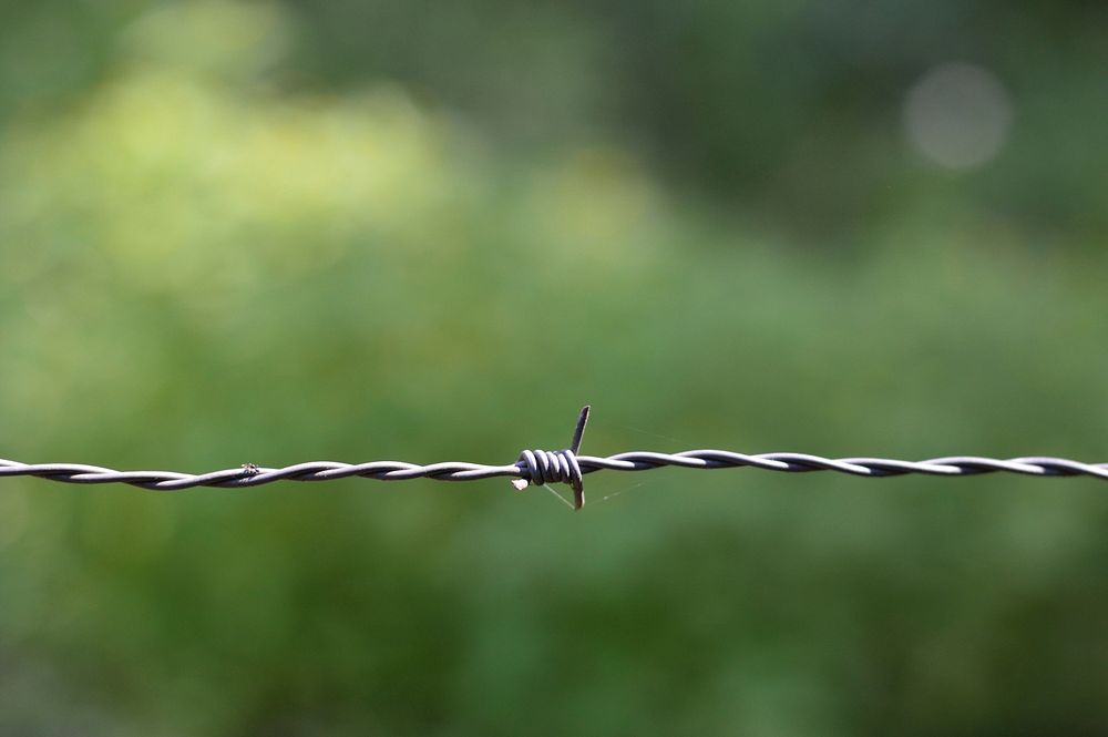 Free barbed wire public domain CC0 photo.