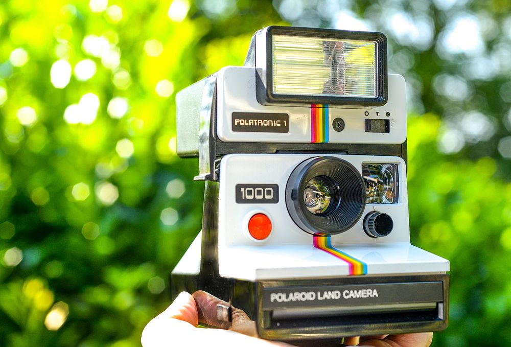 Polaroid Land Camera 1000, location unknown, 4 September 2017.