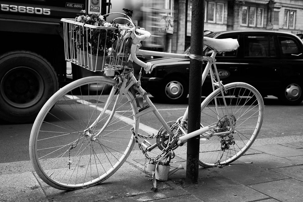 Albino bicycle