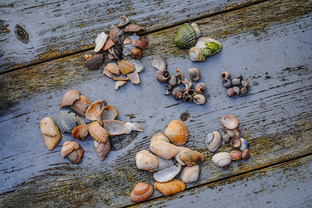 Shells in groups