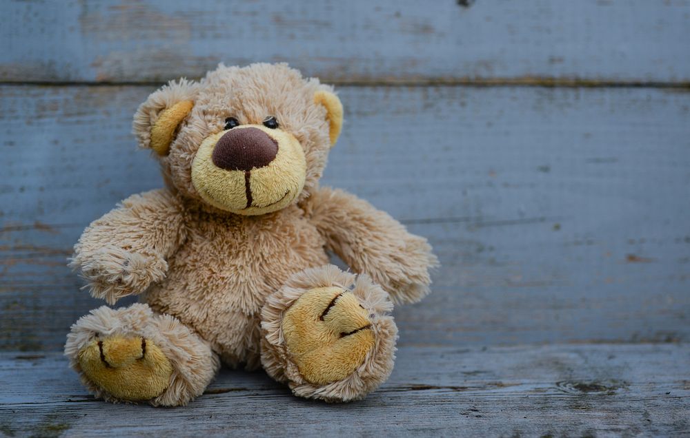 Stuffed bear, fluffy soft toy photo, free public domain CC0 image.