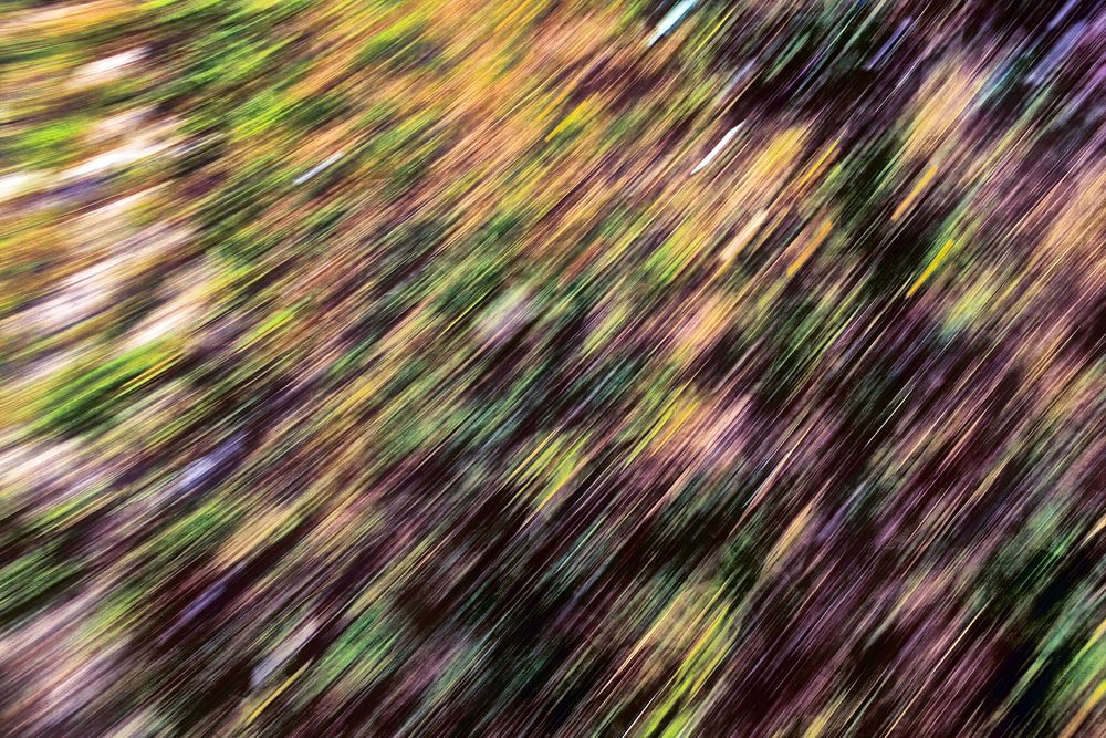 Blurry nature background, free public domain CC0 photo.