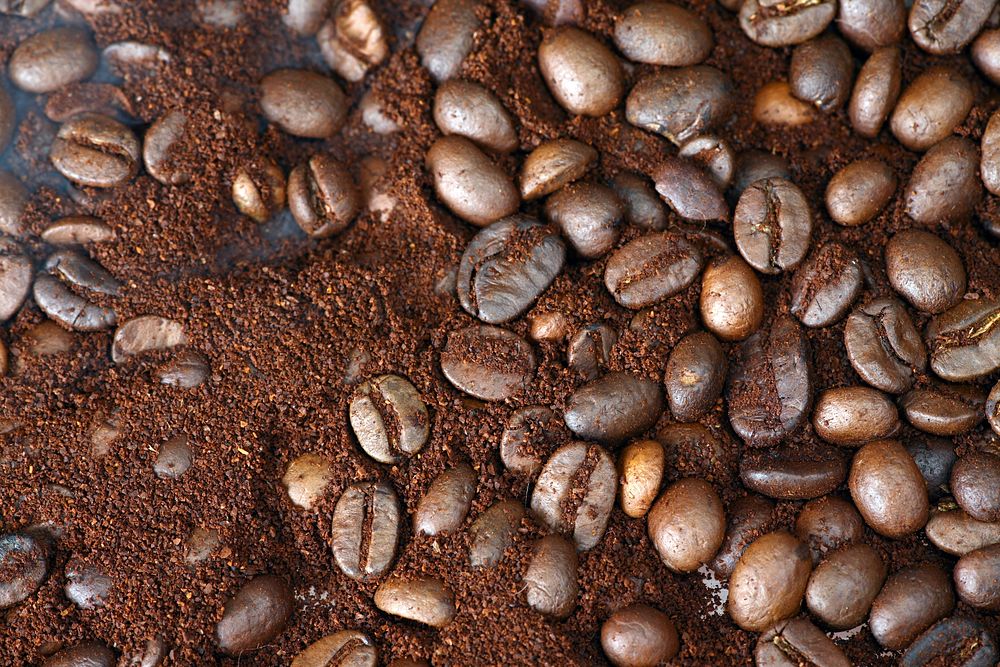 Free coffee beans image, public domain food & beverage CC0 photo.