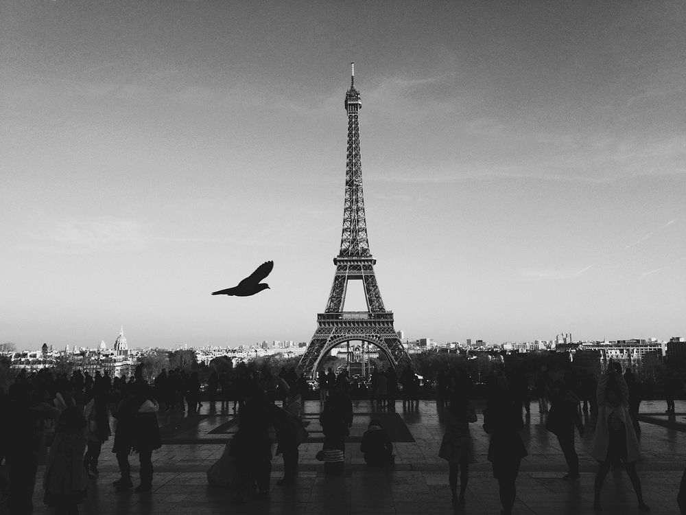 Free Eiffel Tower in black and white image, public domain CC0 photo.