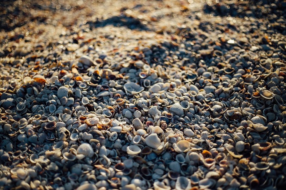 Free beach sand image, public domain travel CC0 photo.