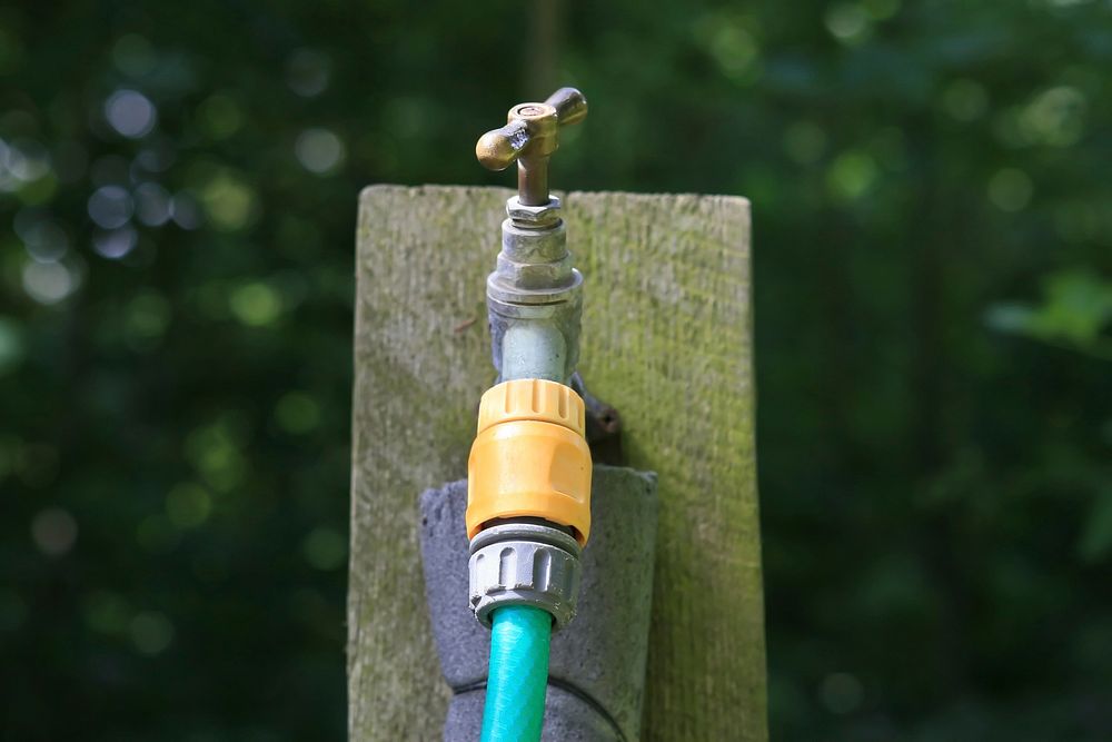 Water hose in garden, free public domain CC0 image.