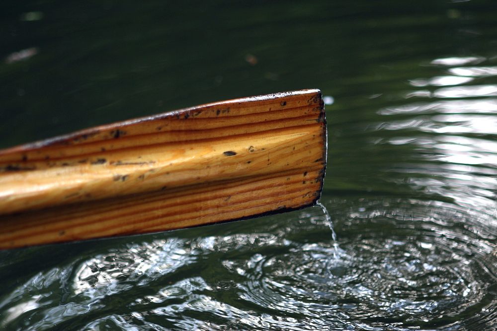 Wooden oar in water, free public domain CC0 image.