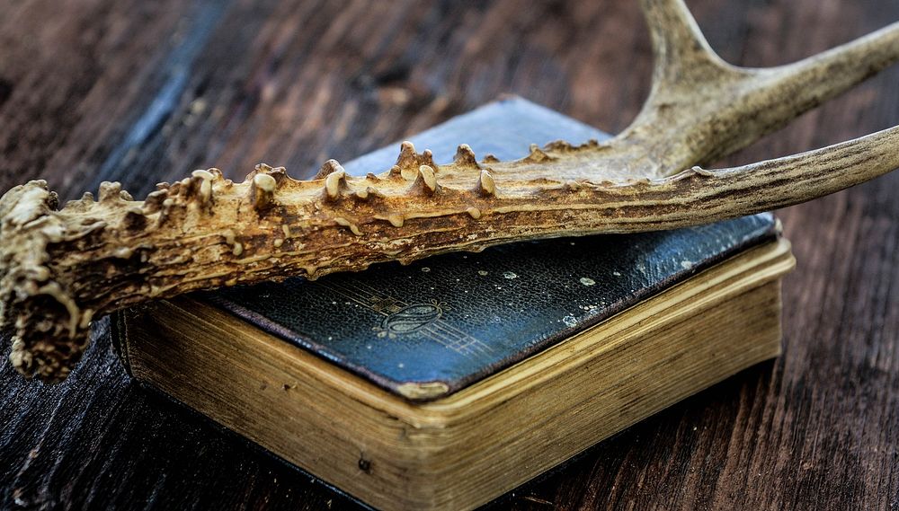 Free antler on old closed book on wooden table photo, public domain CC0 image.
