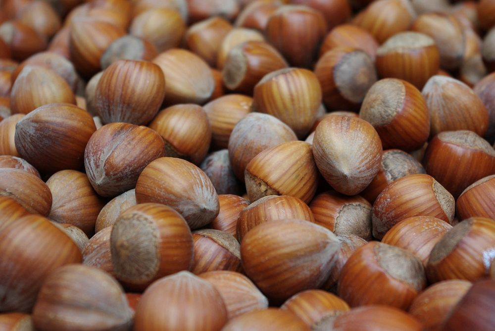 Free closeup of many unshelled chestnuts photo, public domain food CC0 image.