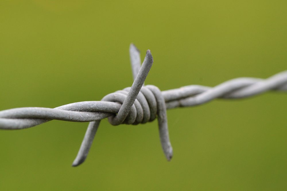 Free barbed wire image, public domain green background CC0 photo.