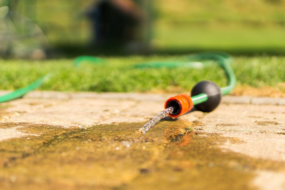 Free water hose in garden image, public domain environment CC0 photo.