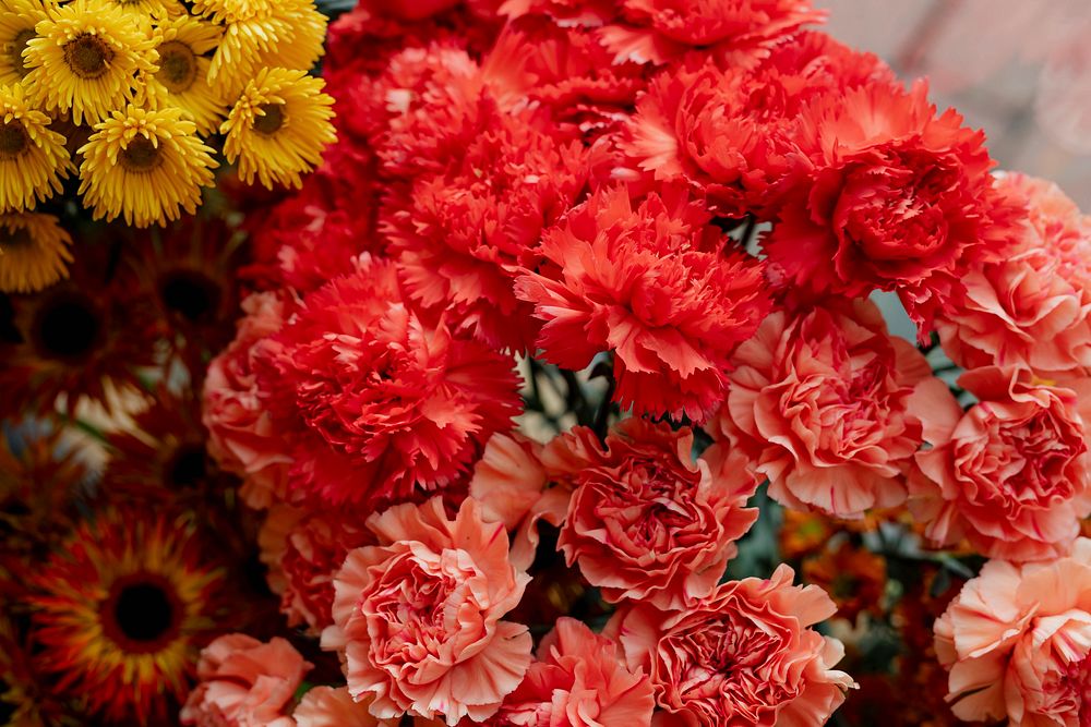 Bunches of orange carnations and yellow asters in a flower shop