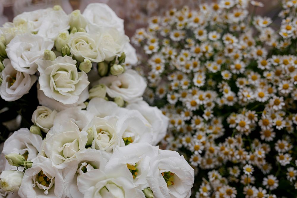 Bunches of white lisianthus and chamomiles in a flower shop