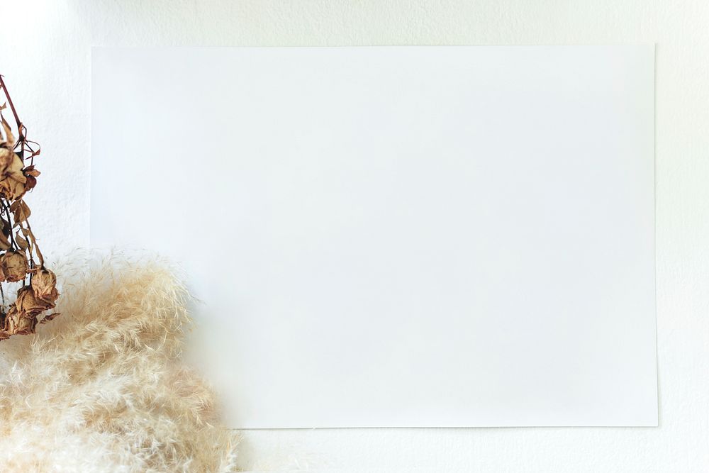 Blank white card by a muhly grass