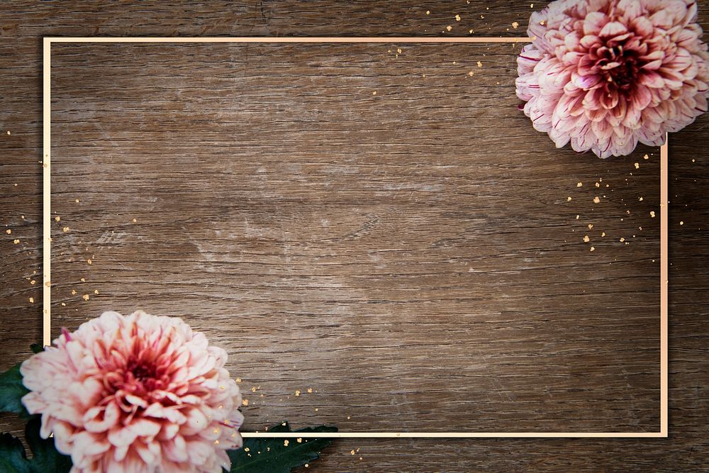 Gold frame with chrysanthemum PIP Salmon on a wooden background mockup