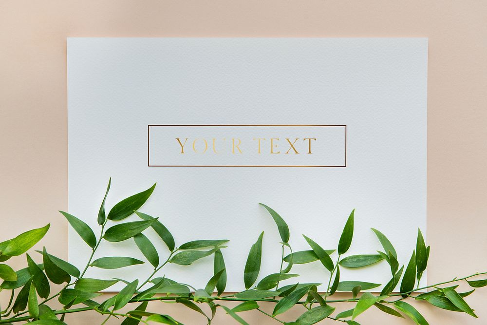 Ruscus leaves with a white card mockup