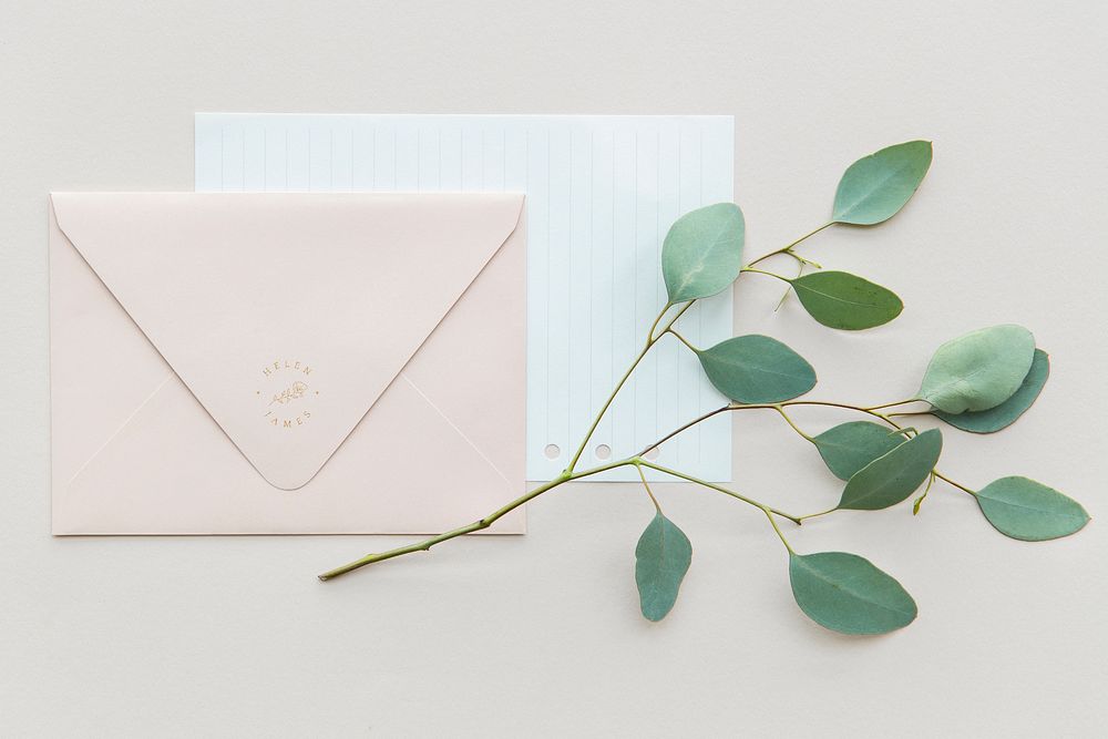Eucalyptus populus leaves with a pink envelope mockup