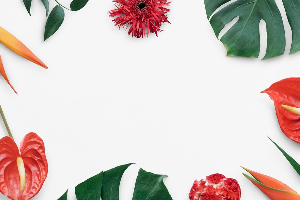 Colorful tropical flowers frame on a white background mockup