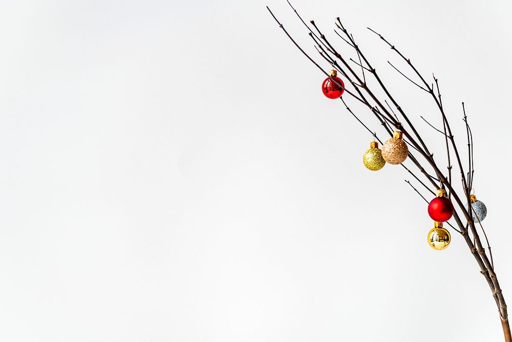 Festive Christmas ornaments on a branch