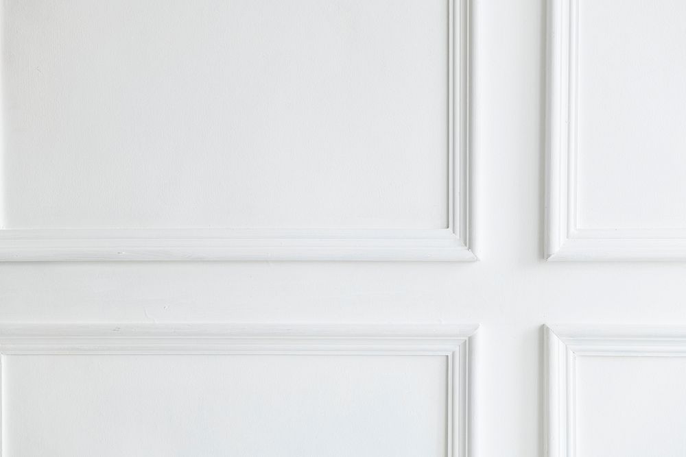 Interior white wall paneling decoration