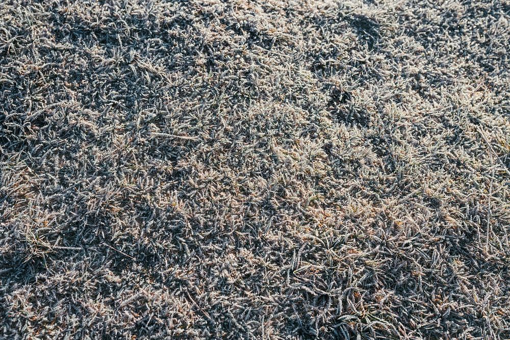 Grass covered with frost at Buachaille Etive Mor