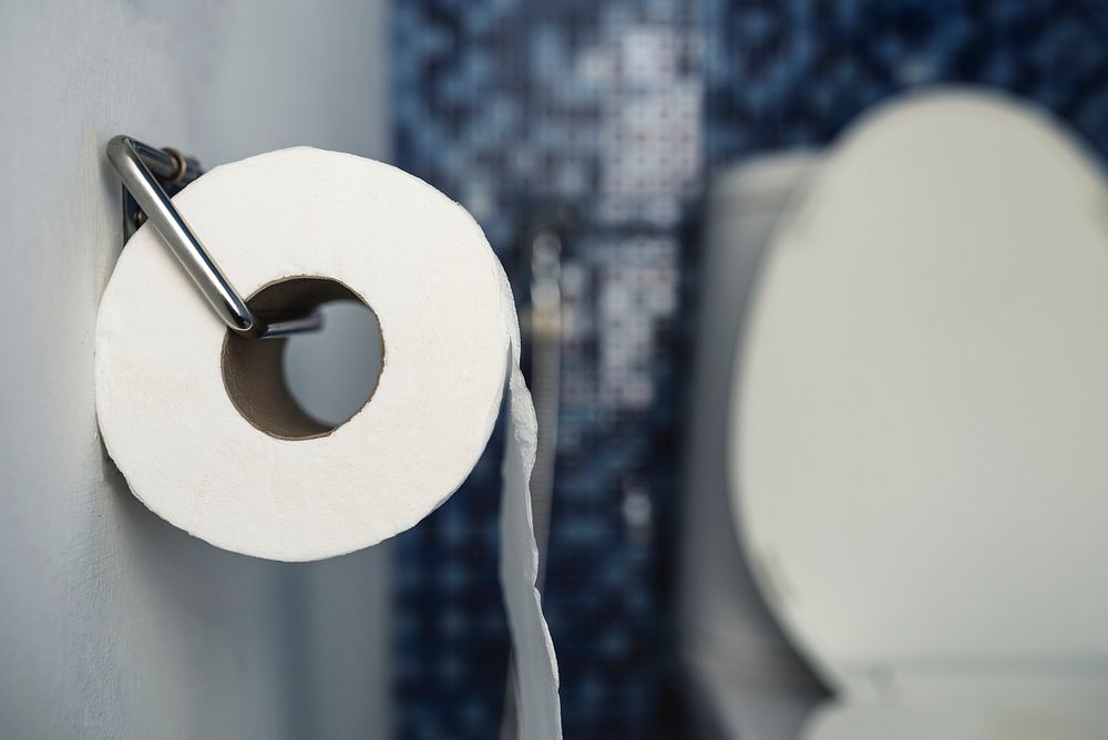 Toilet tissue on a holder