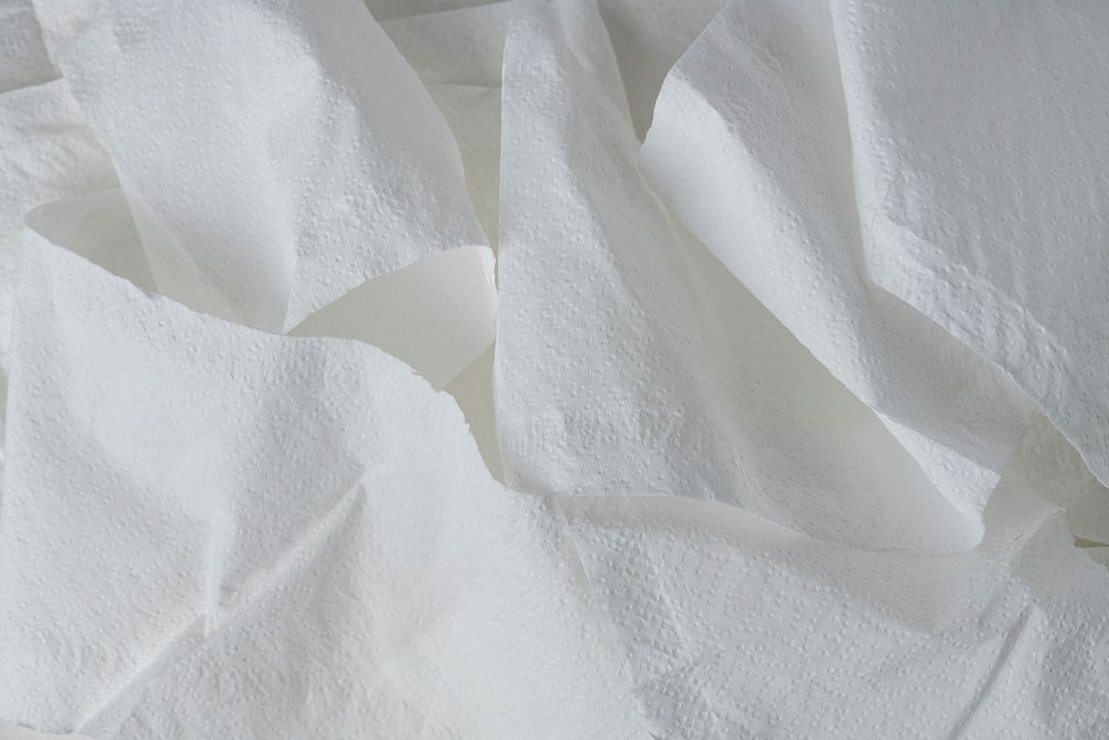 Closeup of toilet paper