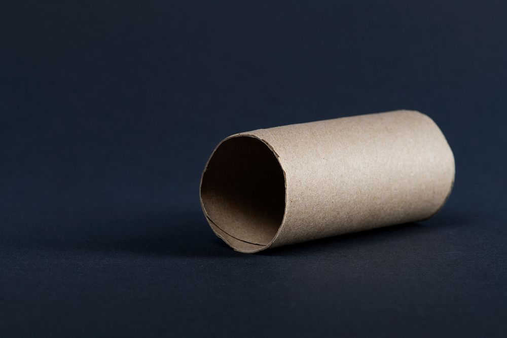 Empty toilet paper roll 