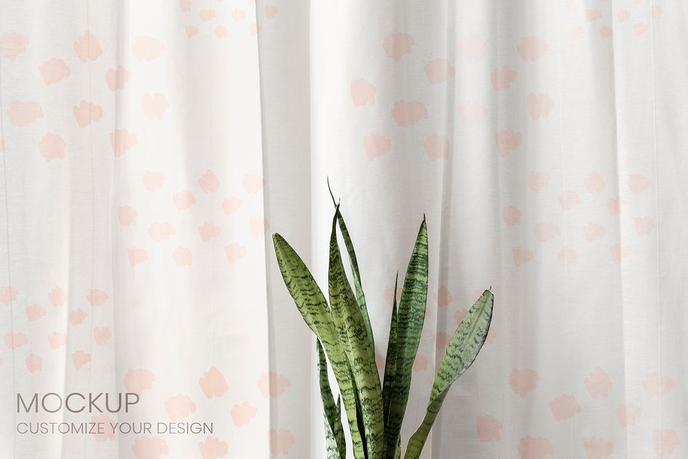 Fresh snake plant in front of a white curtain mockup