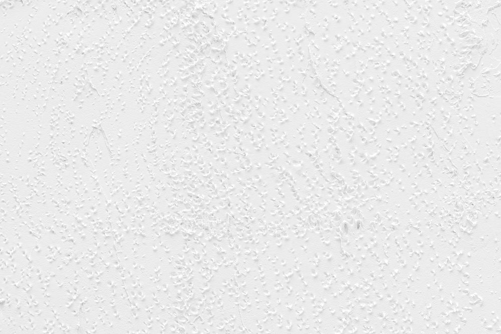 White blank background texture design element