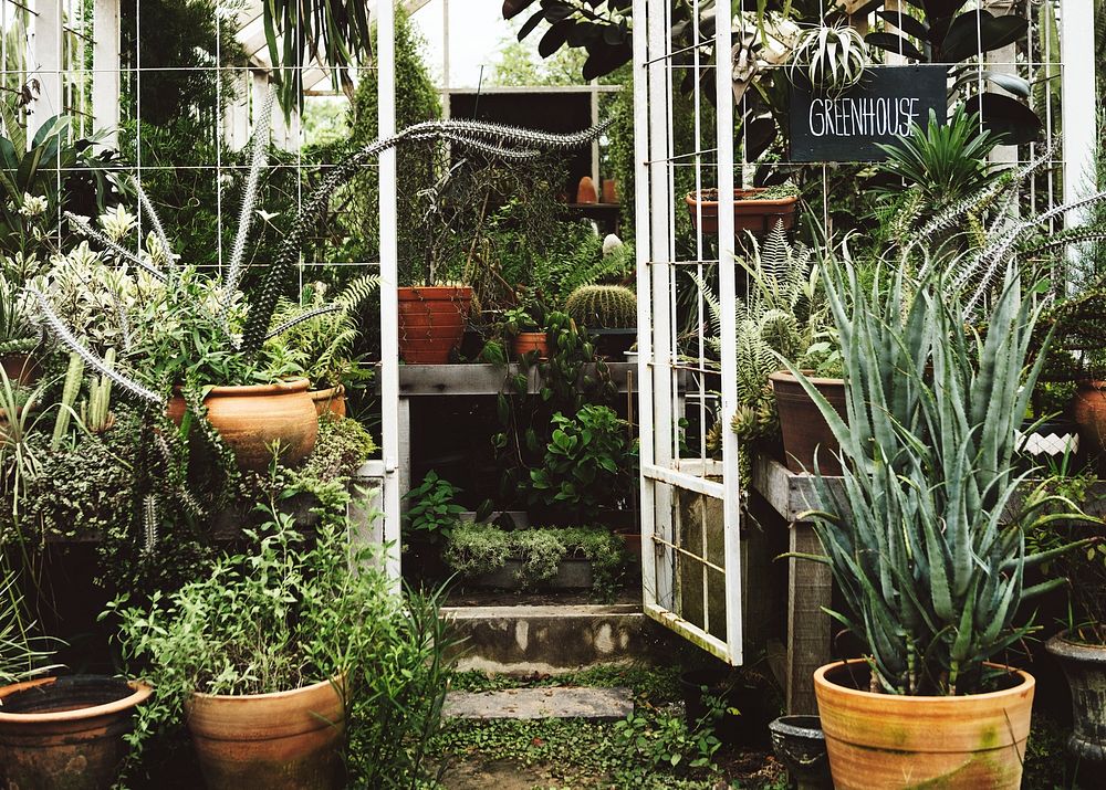 Greenhouse with various plants