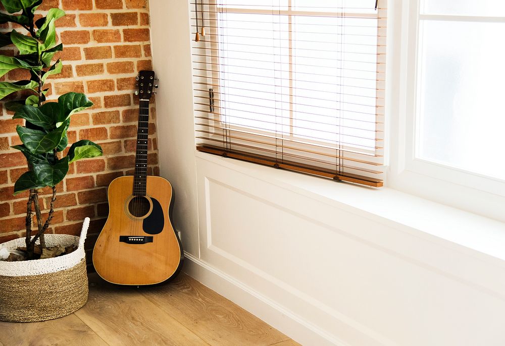 Guitar and plant pot in living room