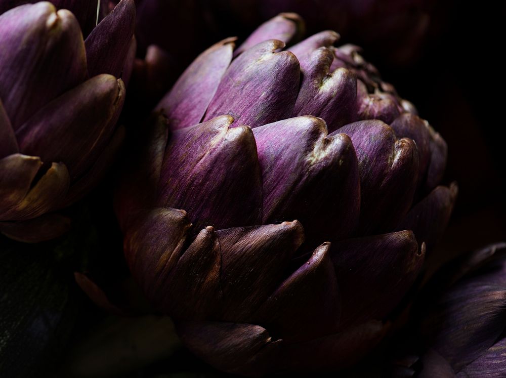 Closeup of a fresh artichoke