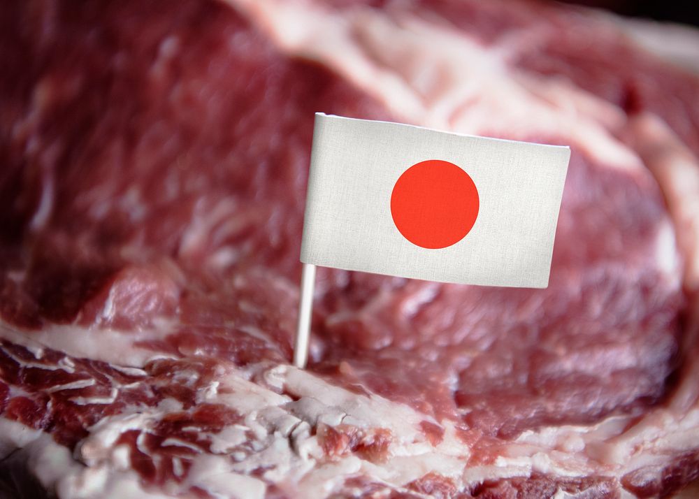 Fresh Japanese beef steak food photography recipe idea