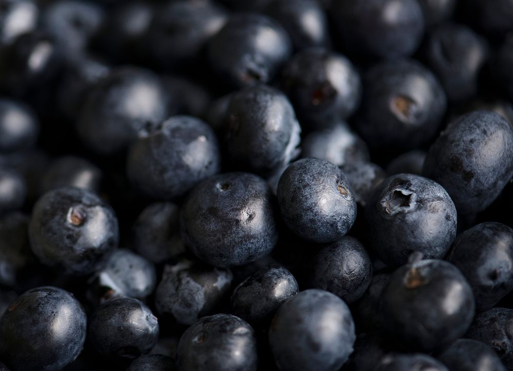 Closeup of fresh organic blueberries