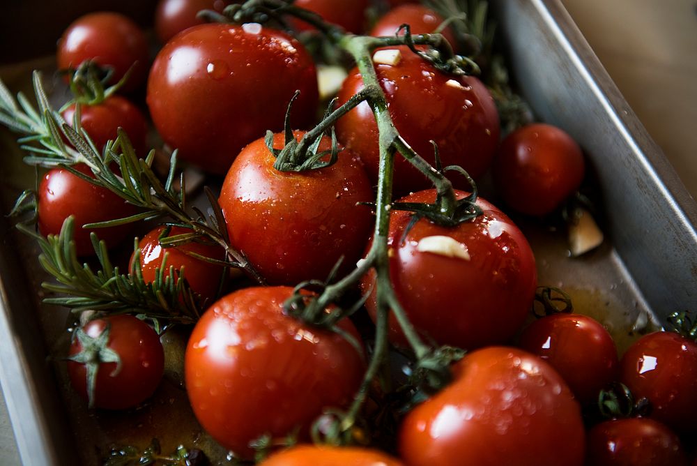 Cherry tomatoes with rosemary food photography recipe idea