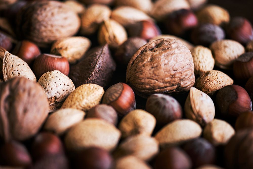 Close up of various kinds of nuts