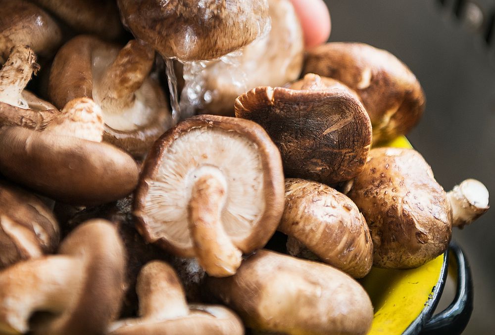 Closeup of wet mushrooms on a kitchen Photo rawpixel