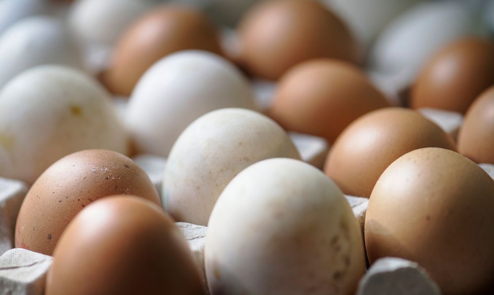 Closeup of fresh organic eggs