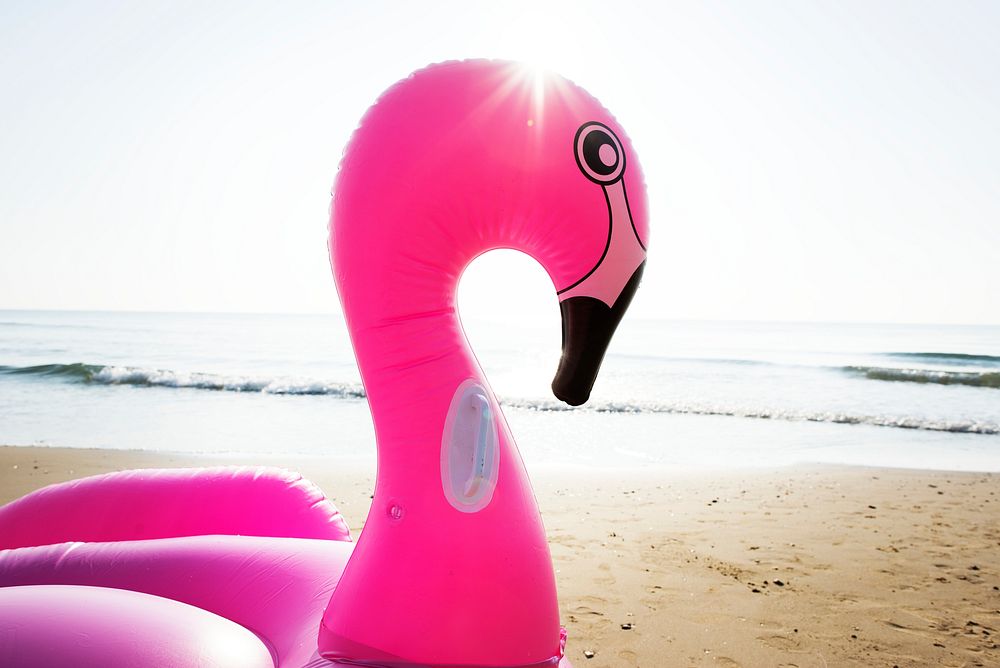 Closeup of pink flamingo inflatable swimming tube