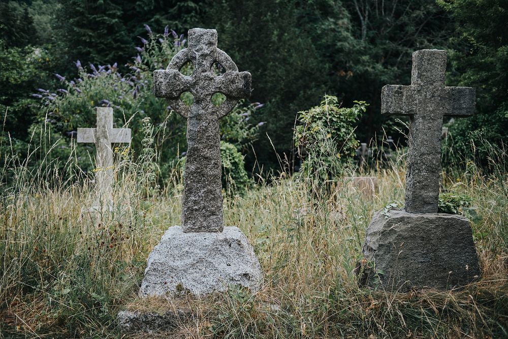 Old crosses in a forest