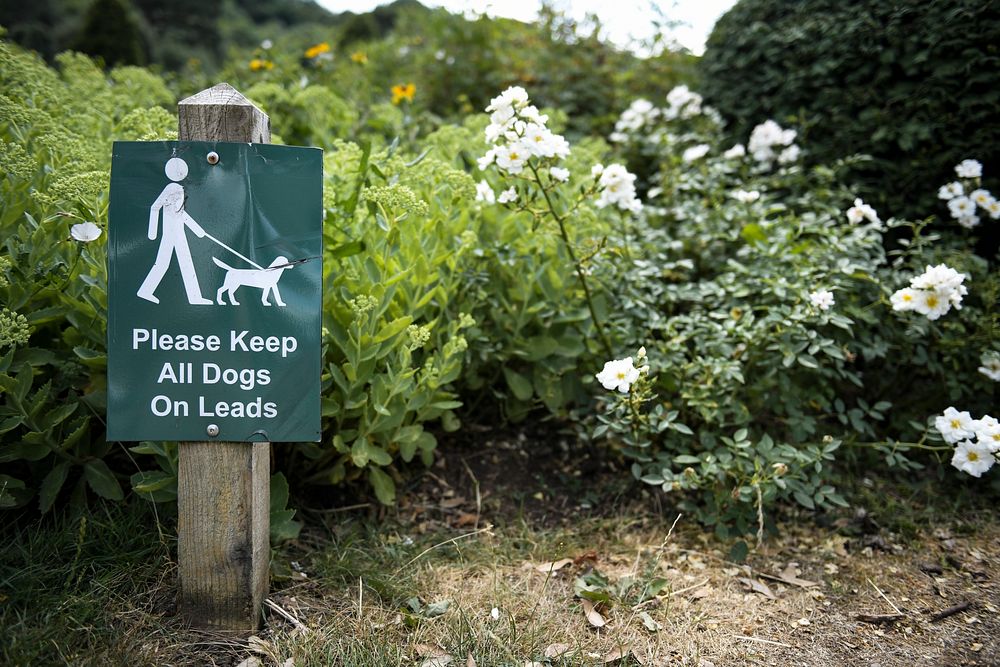 Please keep all dogs on leads