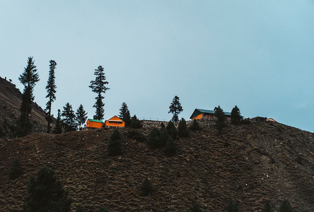House on a mountain surrounded by trees