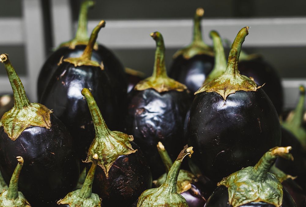 Close up of a bunch of eggplants