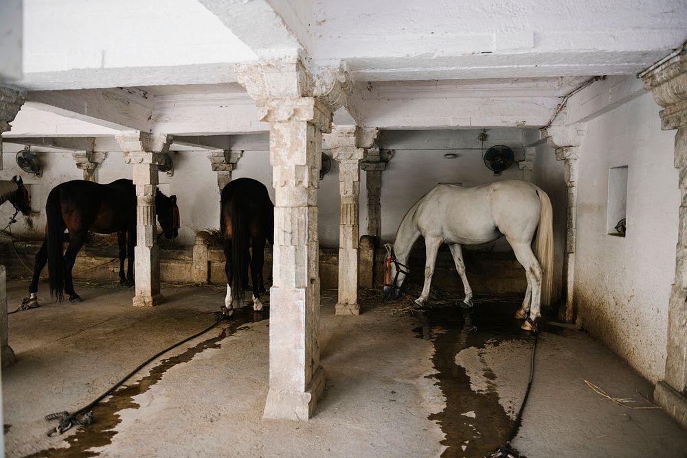 The royal stable inside the City Palace, Udaipur, India