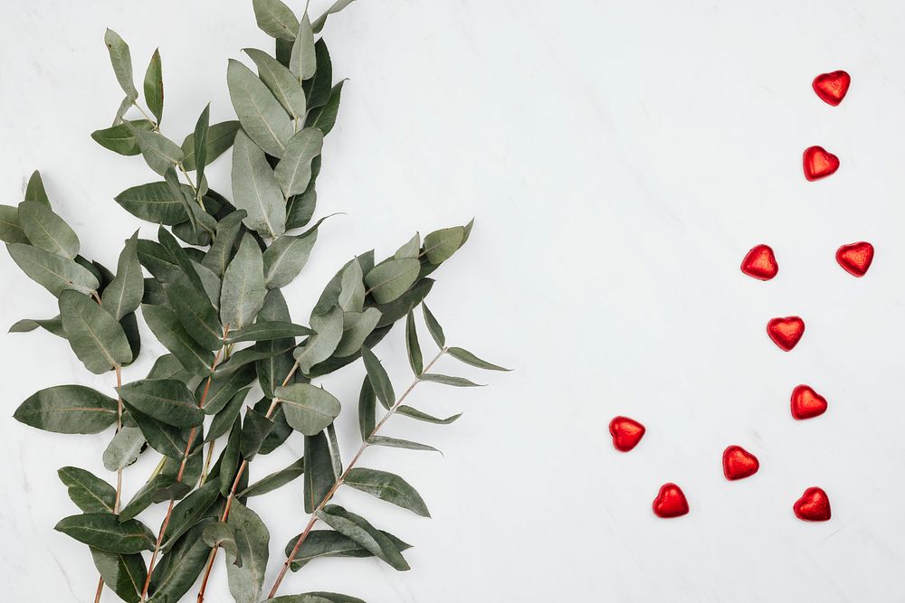 Eucalyptus and red chocolates on a white marble background
