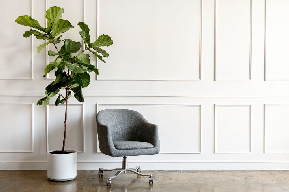 Houseplant by a gray chair