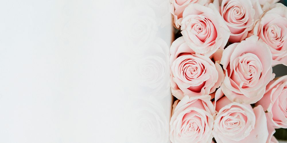 Bouquet of light pink roses social template