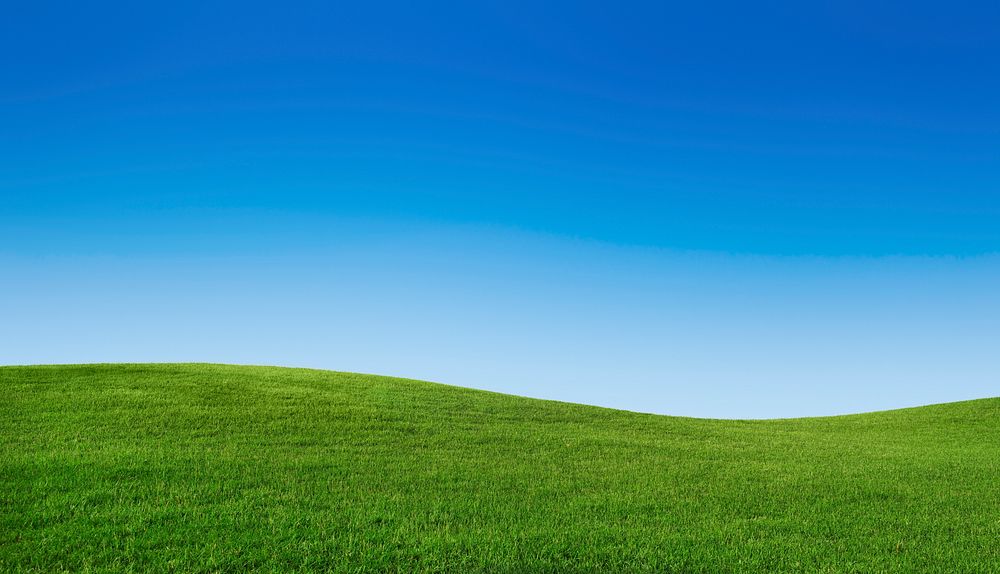 Green grass with a blue sky wallpaper