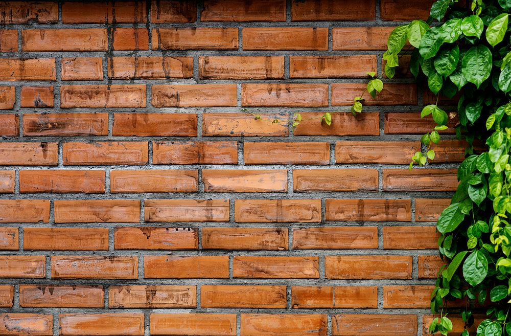 Brickwall wallpaper